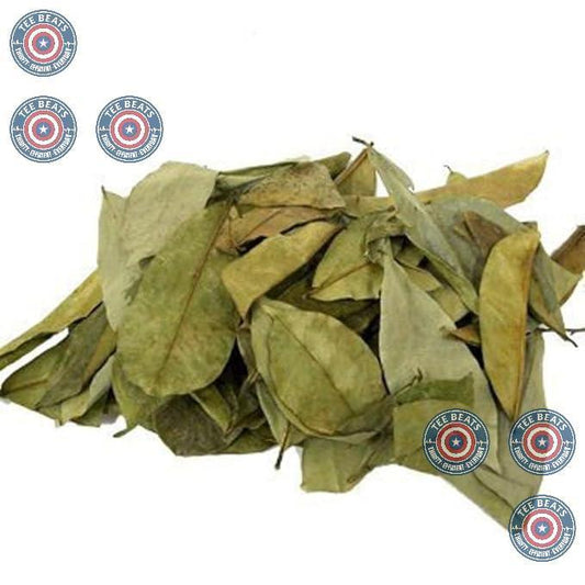 Guanabana_Hojas_(Soursop_Leaves_Tea)_–_Jumbo_4_oz_100%_Natural,_Vegan,_Non-GMO,_Wildcrafted_&_Authentic_Caffeine-Free_Herbal_Tea_Makes_30+_Cups_Beverage