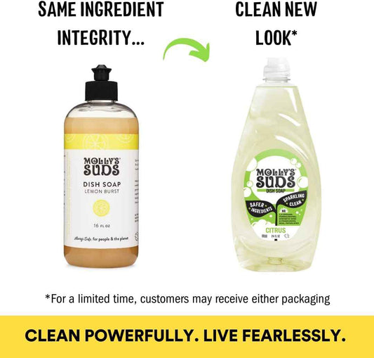 Molly's Suds Liquid Dish Soap | Clean, Simple Ingredients | Extra Scrubbing Power