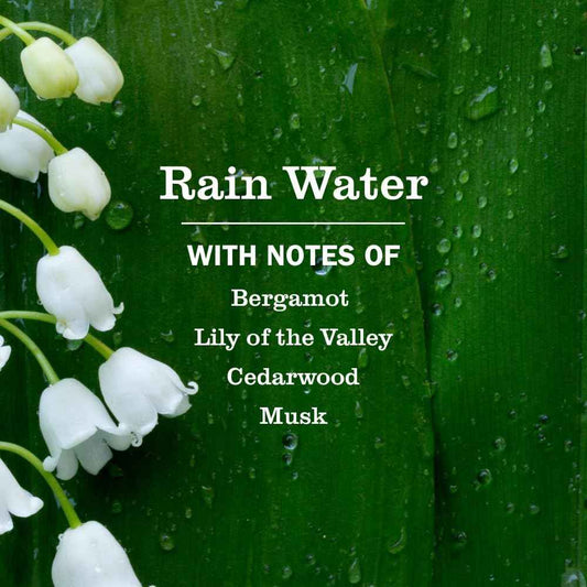 MRS. MEYER'S CLEAN DAY Liquid Dish Soap, Rain Water, 16 fl. oz
