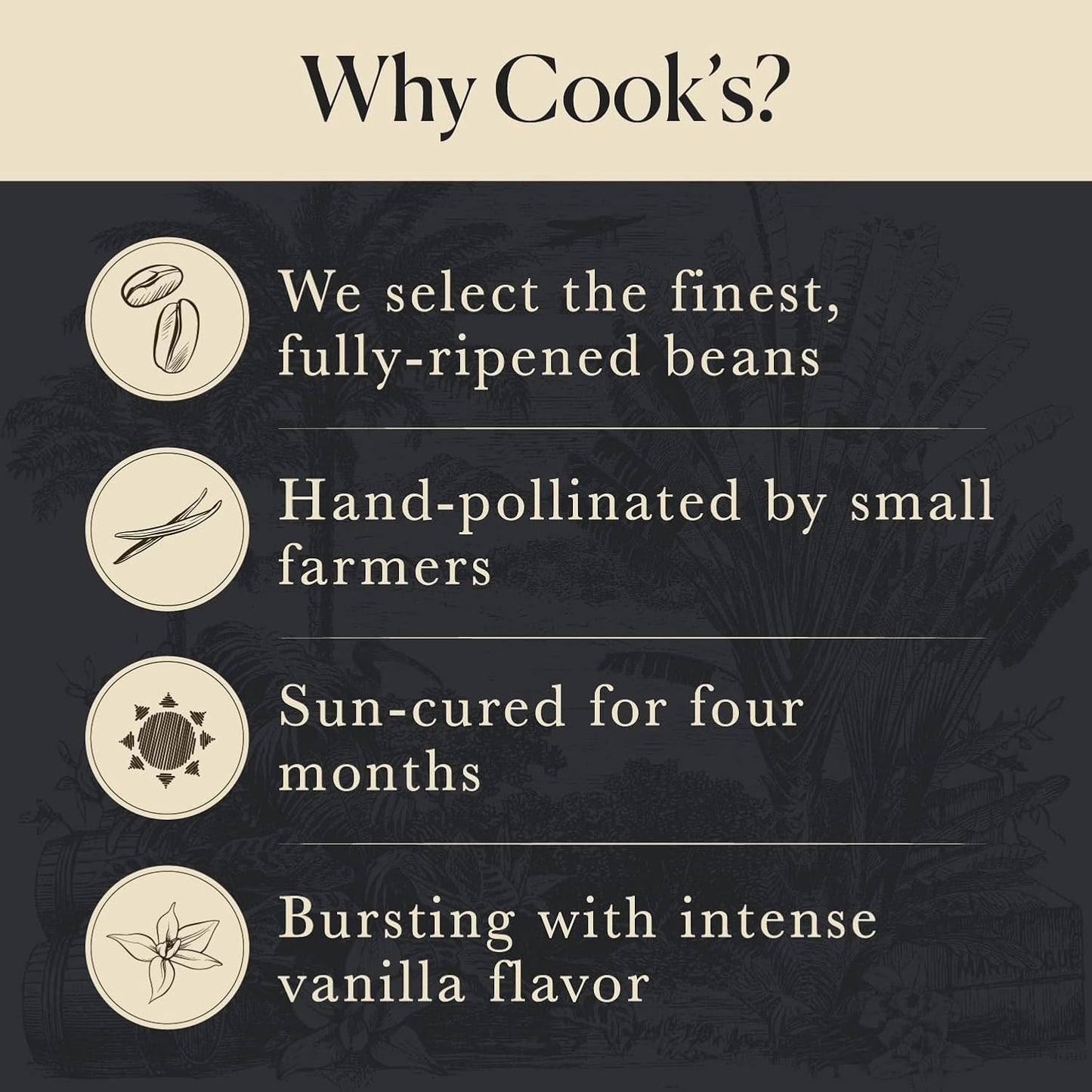 10_Organic_Madagascar_Whole_Vanilla_Beans,_Grade_A_Pods,_Premium_Vanilla_Beans_for_Making_Extract_&_Baking_-_Cook’s