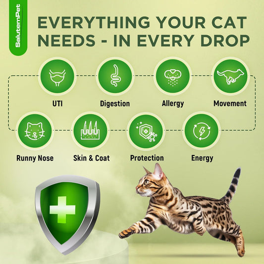 Cat_Antibiotic_for_Infections,_UTIs,_Respiratory_Moments,_Cold,_&_Allergies_|_Antibiotics_for_Cats_of_All_Ages_&_Breeds_|_Liquid_Form_|_Natural_Supplement_with_Chicken_Flavor_|_2_Oz