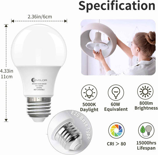 LUXRITE A19 LED Bulb Shatter-Resistant – Safer Lighting for Homes with Kids and Pets, 9W 5000K Daylight 4-Pack