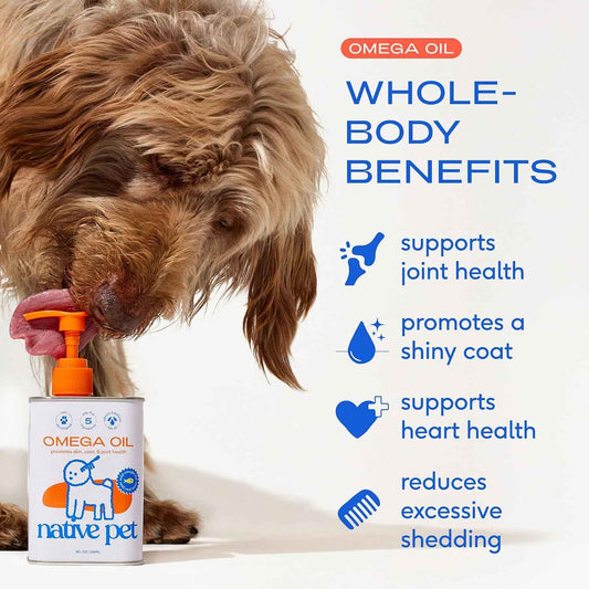 Native Pet Omega 3 Fish Oil – Daily Wellness Ritual for Kibble-Fed Dogs & Cats, Pump-On Kibble Skin and Coat Support