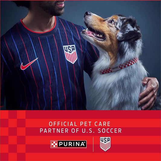 Purina Pro Plan FortiFlora Probiotic Powder for Dogs – Daily Digestive Wellness Ritual for Sensitive Stomachs
