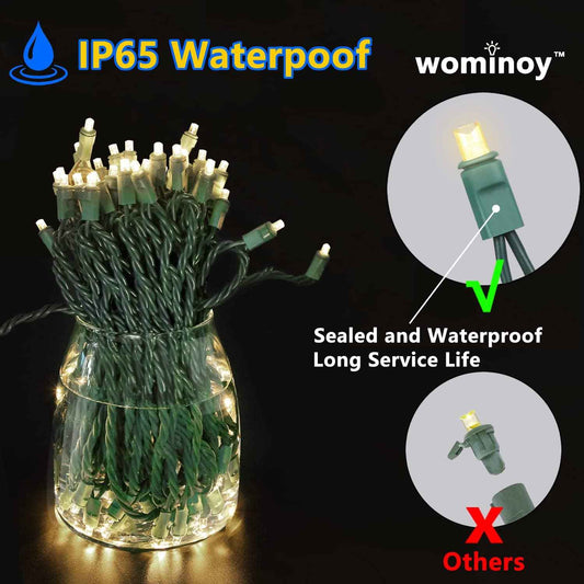 Festive Lights Safe LED String Lights 25ft Cool and Warm White - UL Listed Flameless Indoor Outdoor Lighting for Homes with Kids and Pets