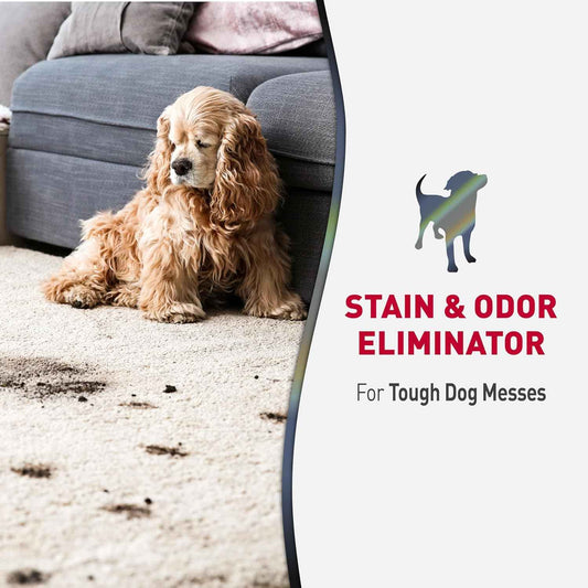 Nature's Miracle Fresh Scent Pet Stain Spray – Mindful Cleanup Routine for a Healthier Indoor Environment