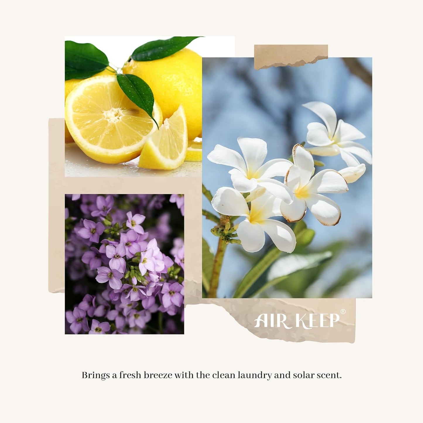 Reed Diffuser for Studio Apartment – Effortless Passive Fragrance with Simple Flip-and-Refresh Maintenance