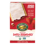 Nature's Path Organic Toaster Pastries – Healthy Lunchbox Snack for Kids' School Lunchboxes, 5 Real Fruit Flavors