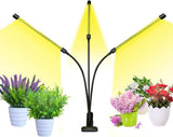 bseah Grow Light for Indoor Plants – Focused Home Office Setup, Full Spectrum Desk Plant Lamp with Auto Timer