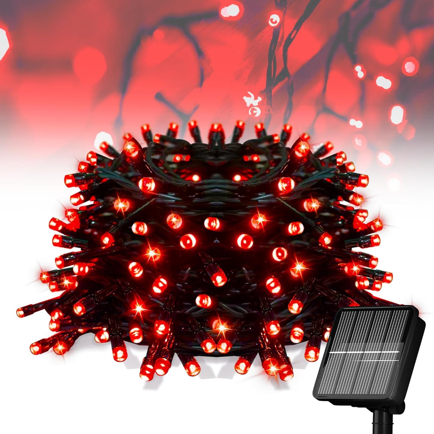 TEEB0CXH76J3H