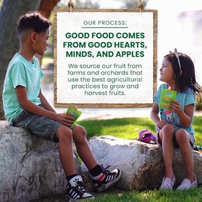 Variety_Pack_of_20_Fruit_on_the_Go_-_Unsweetened_Snacks_for_Kids,_No_Gluten,_No_Dairy,_Reclosable_Cap,_BPA_Free_Pouches_-_Mangga