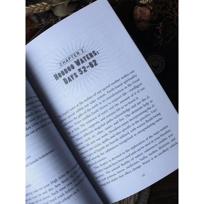 365_Days_of_Hoodoo:_Daily_Rootwork,_Mojo_&_Conjuration