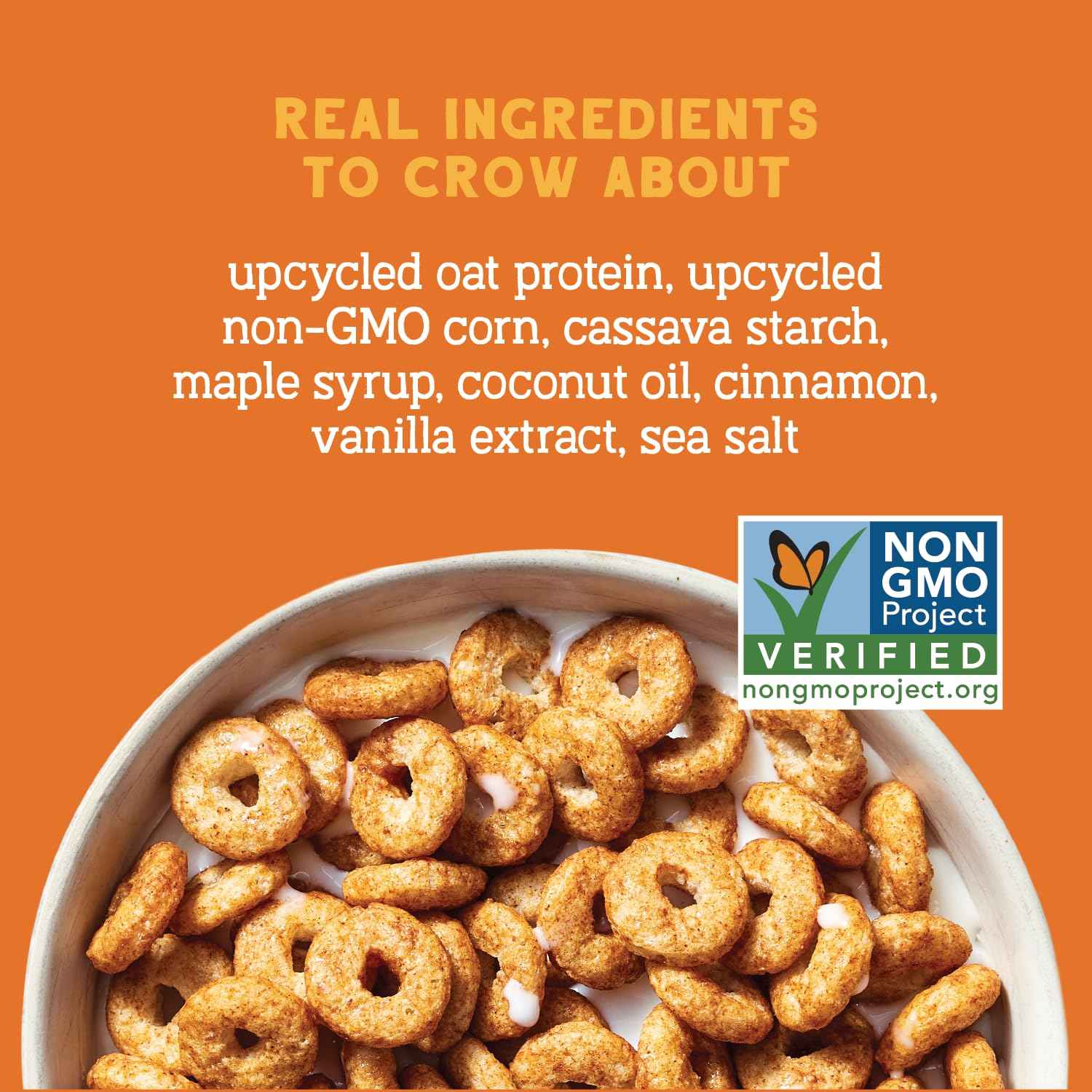 Seven Sundays Maple Cinnamon Protein Cereal – Short-Ingredient Pantry Essential for Clutter-Free Kitchens, 8 oz Bag