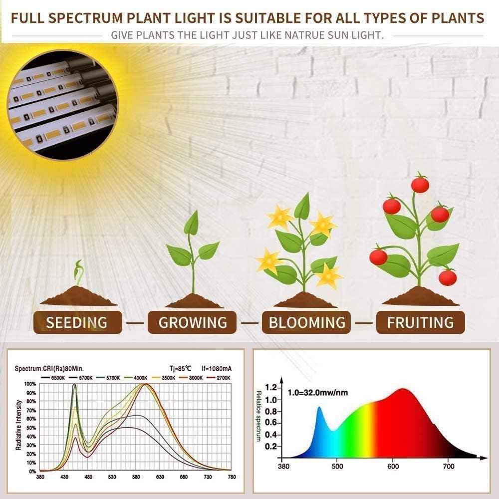 bseah Grow Light for Indoor Plants – Focused Home Office Setup, Full Spectrum Desk Plant Lamp with Auto Timer