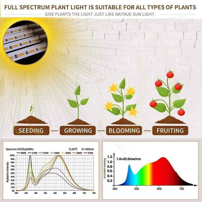 bseah Grow Light for Indoor Plants – Focused Home Office Setup, Full Spectrum Desk Plant Lamp with Auto Timer
