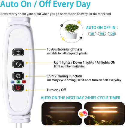 LORDEM Grow Light Strip – Mindful Plant Care Companion for Bedroom Wellness Corner, Full Spectrum 3500K with Auto Timer