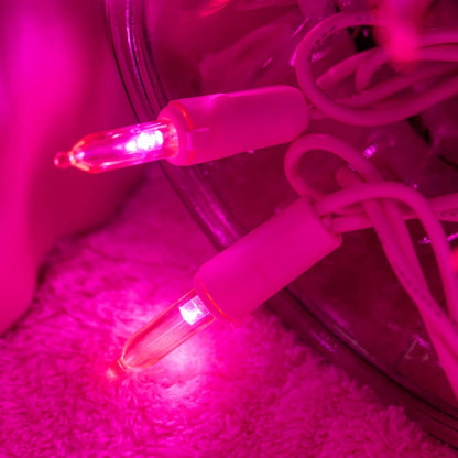 100 led bulbs spaced 4 inches apart across 33 feet of wire