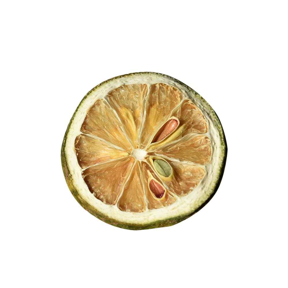 Citrico Dehydrated Lime Garnish – Lightweight Cocktail Topping for Patio Parties