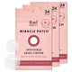 Invisible - 24 Count (Pack of 3)
