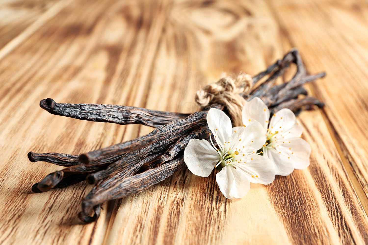 Vanilla Extract Co. Vanilla Beans – Flavor Foundation for Your Home Baking Business Workflow