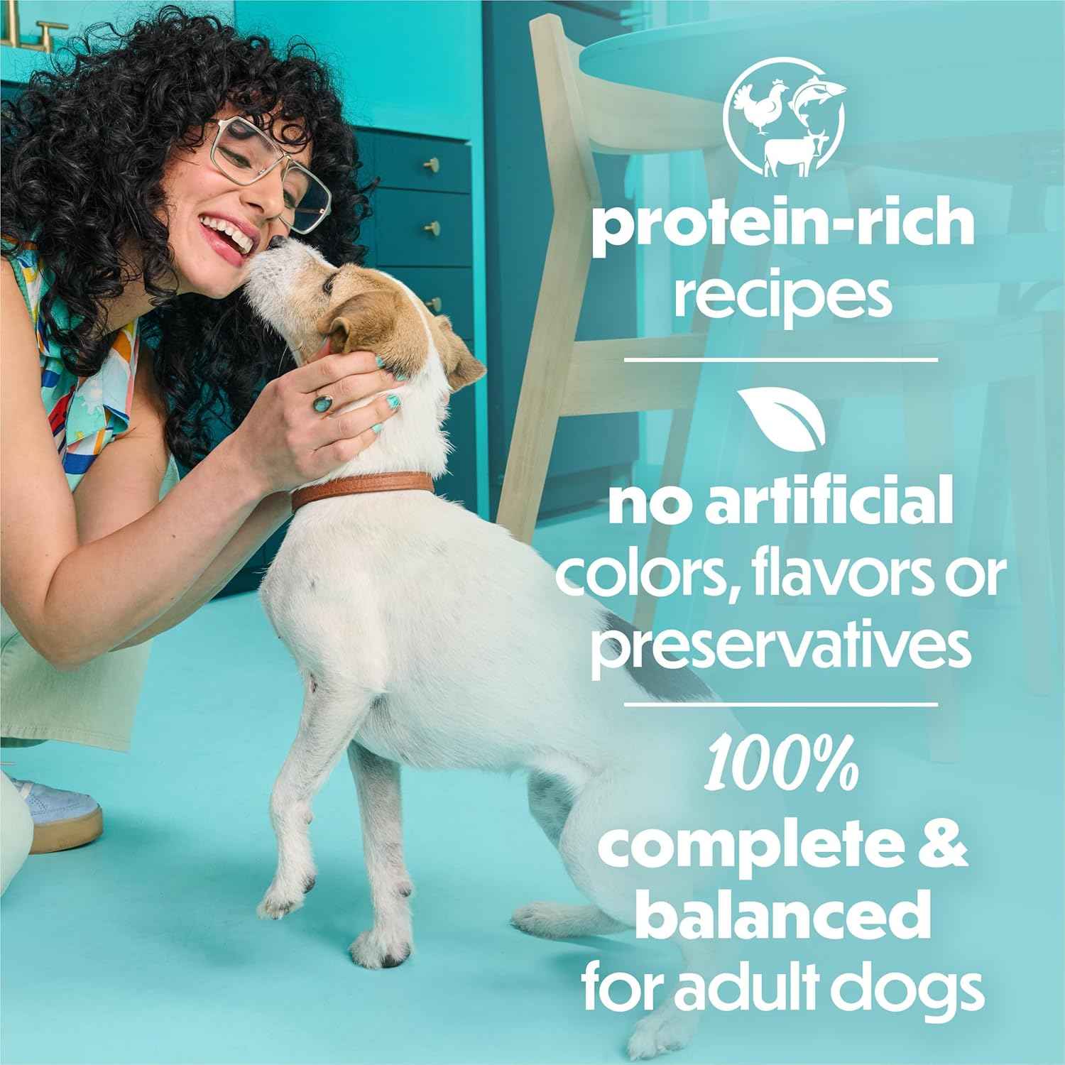 Beneful Purina Small Breed Wet Dog Food – Welcome Home Gift Set for Adoptive Small Dog Owners, 30 Count IncrediBites
