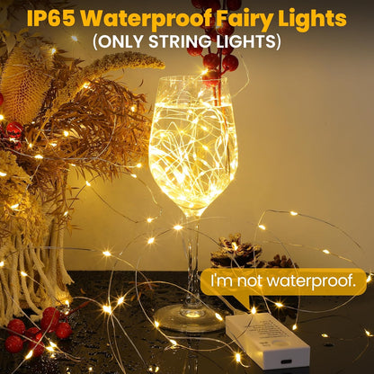 2800k warm white or cool white led color options across 32.8ft, 65.6ft, and 98.4ft length variants