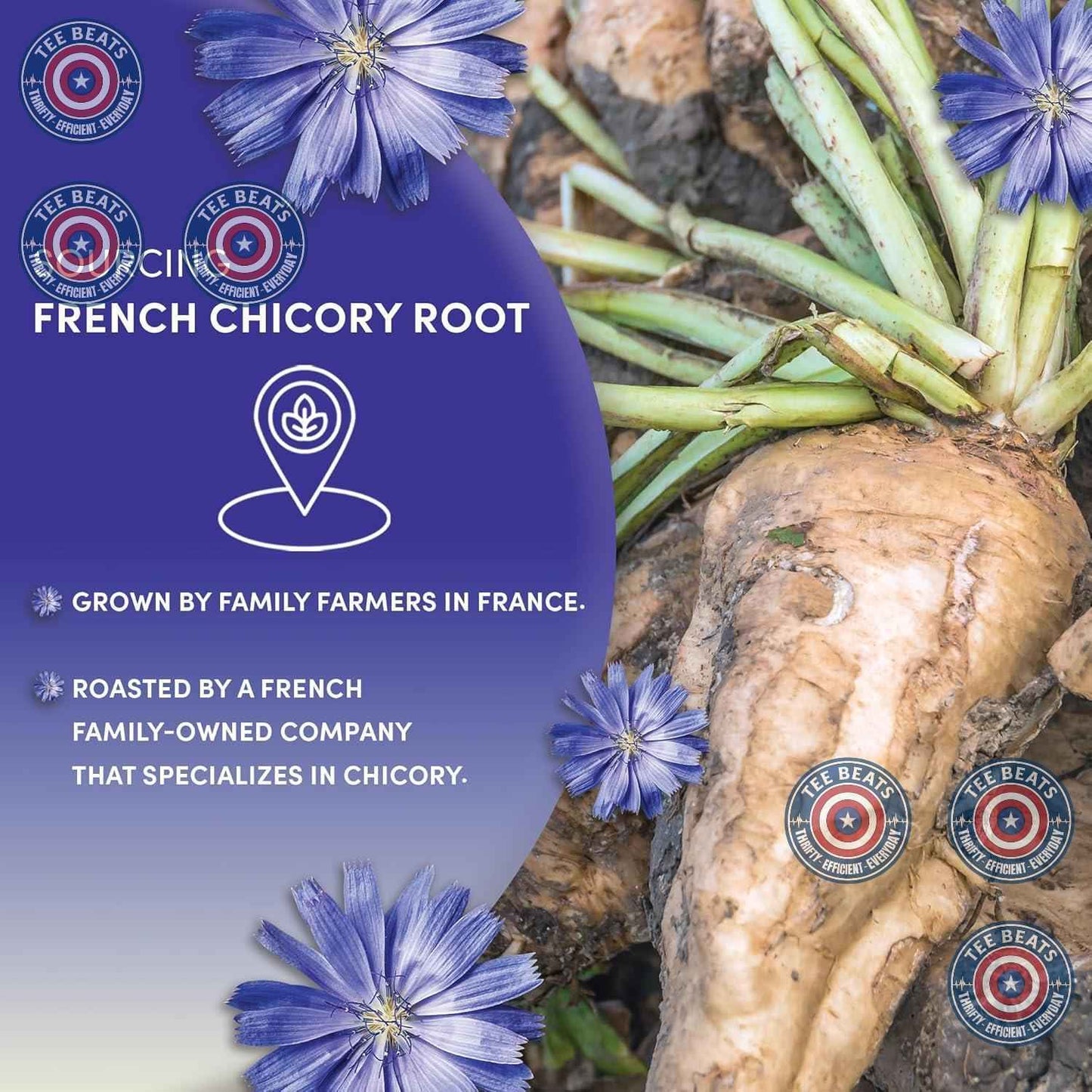 Worldwide Botanicals Roasted Chicory – High-End Coffee Substitute for the Connoisseur's Breakfast Nook, Single-Origin Quality