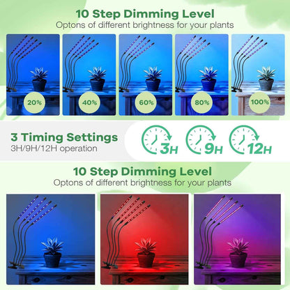 SANSI Grow Light – Desktop Plant Companion for Home Office Focus and Steady Workday Ambiance