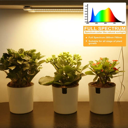 4 dimmable brightness levels: 25%, 50%, 75%, 100%