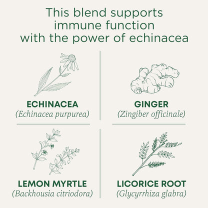 Traditional_Medicinals_Organic_Immune_Zoom_Lemon_Ginger_Tea_-_16_Ct.