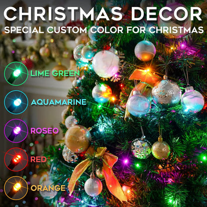 5 exclusive multicolor tones: lime green, aquamarine, rose, ruby, and orange