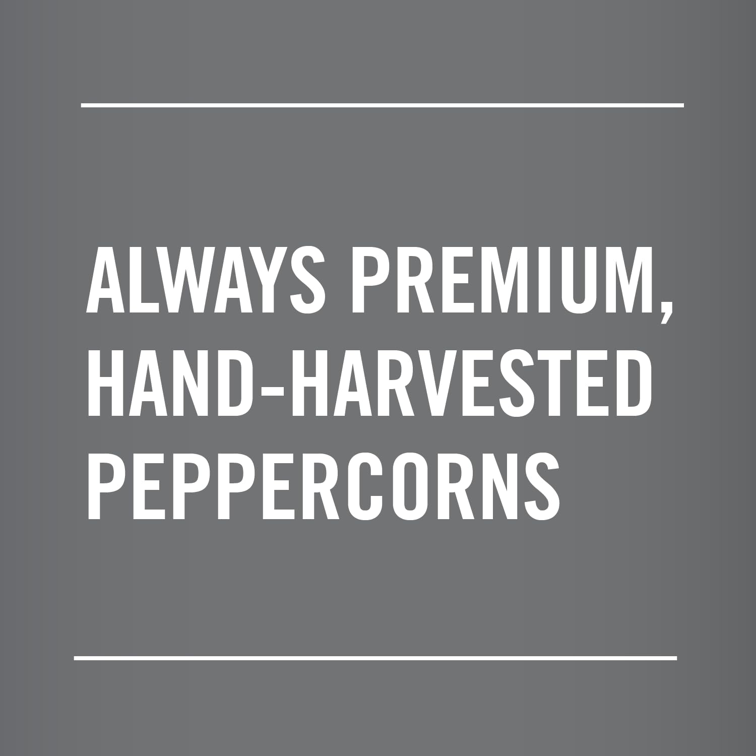 McCormick_Whole_Black_Pepper,_Made_with_Whole_Peppercorns,_17.5_oz
