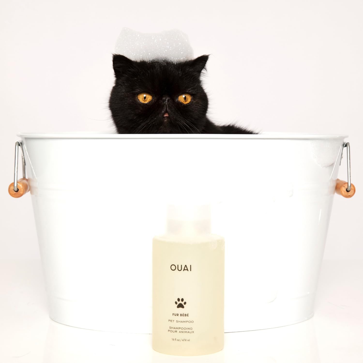 OUAI_Fur_Bebe_Pet_Shampoo_-_Cat_&_Dog_Shampoo_for_Gentle_Cleansing,_Hydration_&_Shine_-_Vegan_&_Cruelty-Free_Pet_Supplies_with_Aloe_Vera_&_Panthenol_-_Mercer_Street_Scent_(16_Fl_oz)