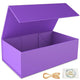 Purple 12x6x4 Inch - 1 Count (Pack of 1)
