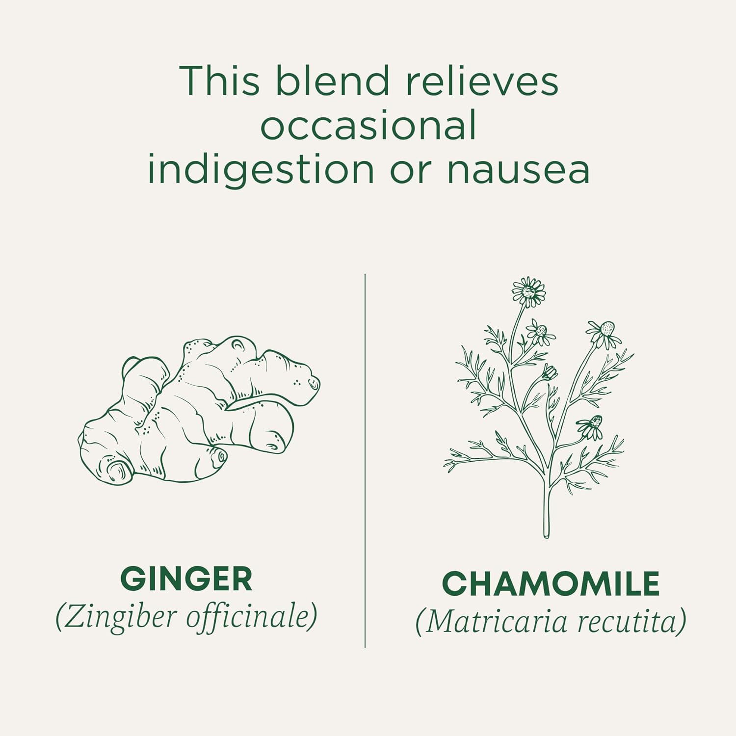 Traditional_Medicinals_Tea,_Organic_Ginger_&_Chamomile,_Occasional_Nausea_Indigestion_Relief,_16_Tea_Bags
