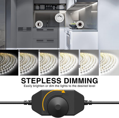 6000k daylight white or warm white color temperature options