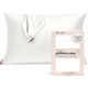 Standard/Queen (1 Pack) - Ivory