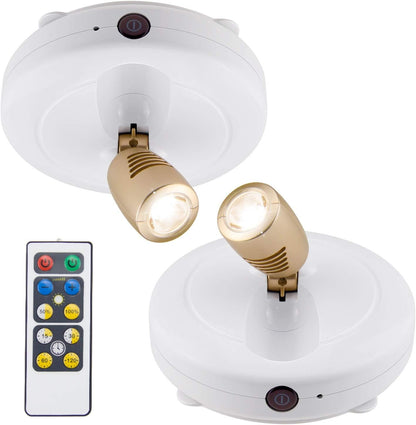 BIGLIGHT_Spotlight_Battery_Operated,_LED_Puck_Light,_Dimmable_Uplight_with_Remote,_Stick_on_Accent_Light_for_Painting_Picture_Wall_Artwork_Photo_Portrait_Closet_Plants,_Warm_White,_2_Pack