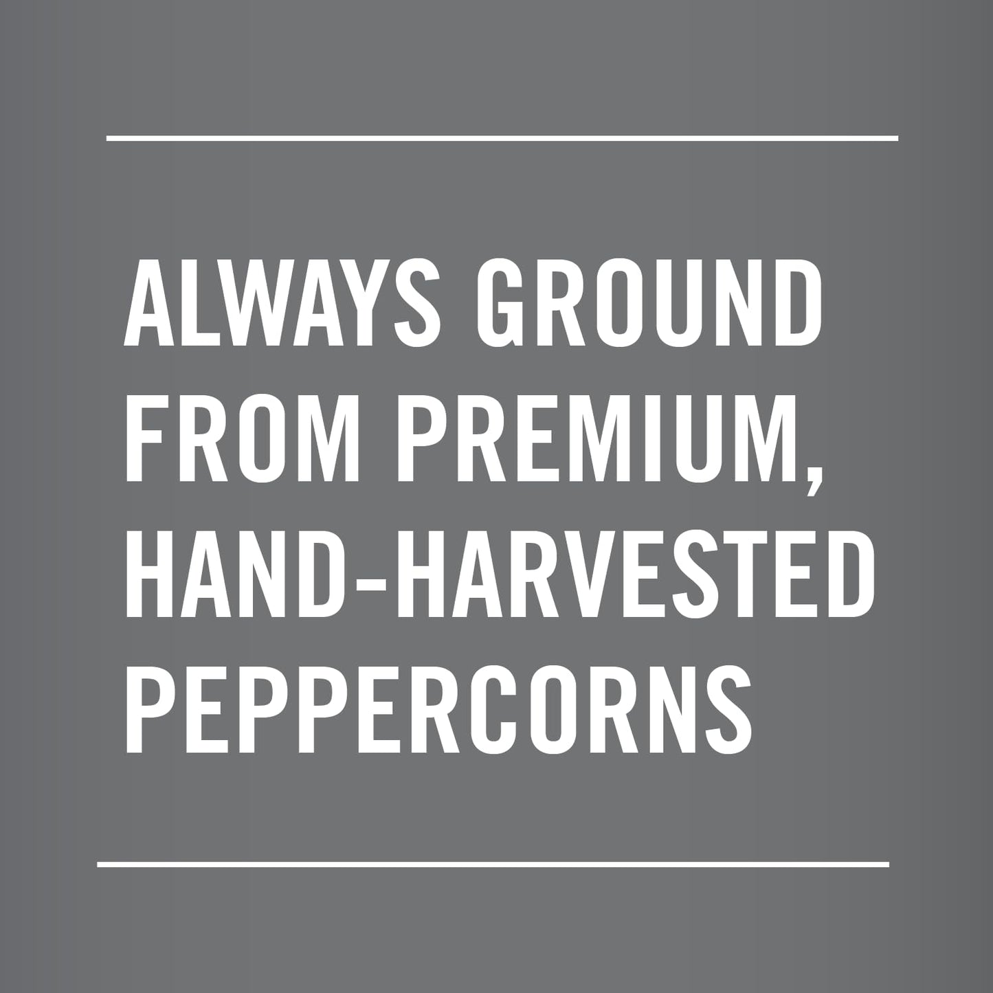 McCormick_Table_Grind_Black_Pepper,_16_oz
