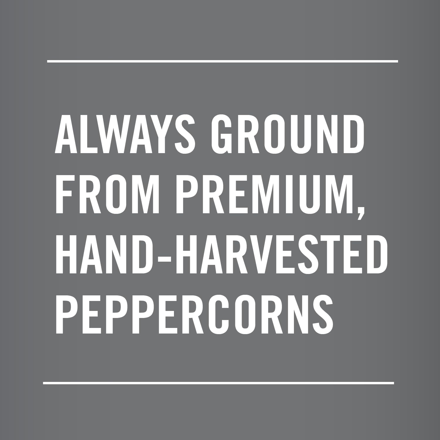McCormick_Table_Grind_Black_Pepper,_16_oz