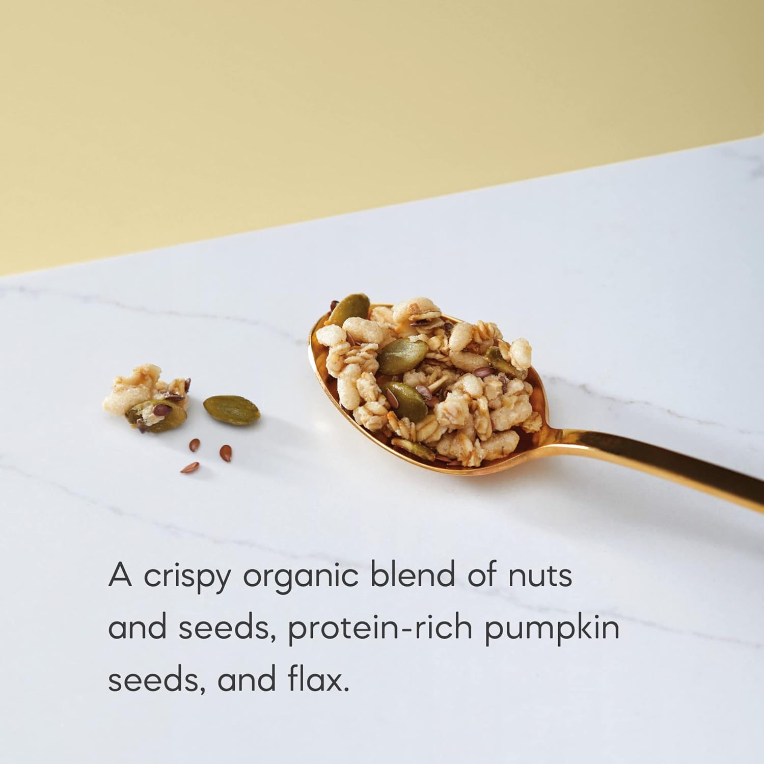 Nature's_Path_Organic_Pumpkin_Seed_+_Flax_Granola,_24.7_oz_(Pack_of_1),_Non-GMO
