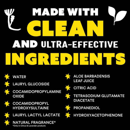Molly's Suds Liquid Dish Soap | Clean, Simple Ingredients | Extra Scrubbing Power