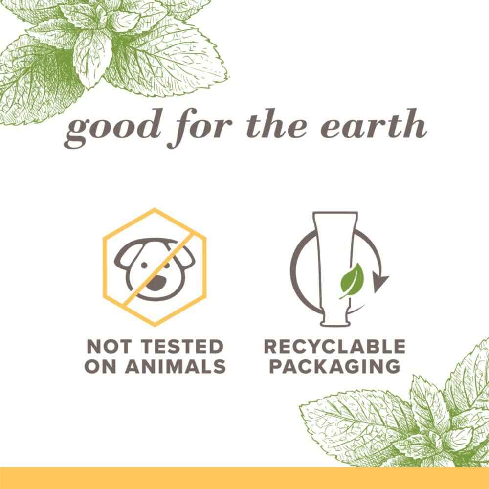 Burt's Bees Toothpaste, Natural Flavor, 4.7 oz, Pack of 3