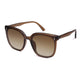 Transparent Brown/Gradient Brown - 58 Millimeters