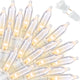 100 COUNT Warm White-White Wire