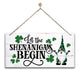 St Patricks Day 19