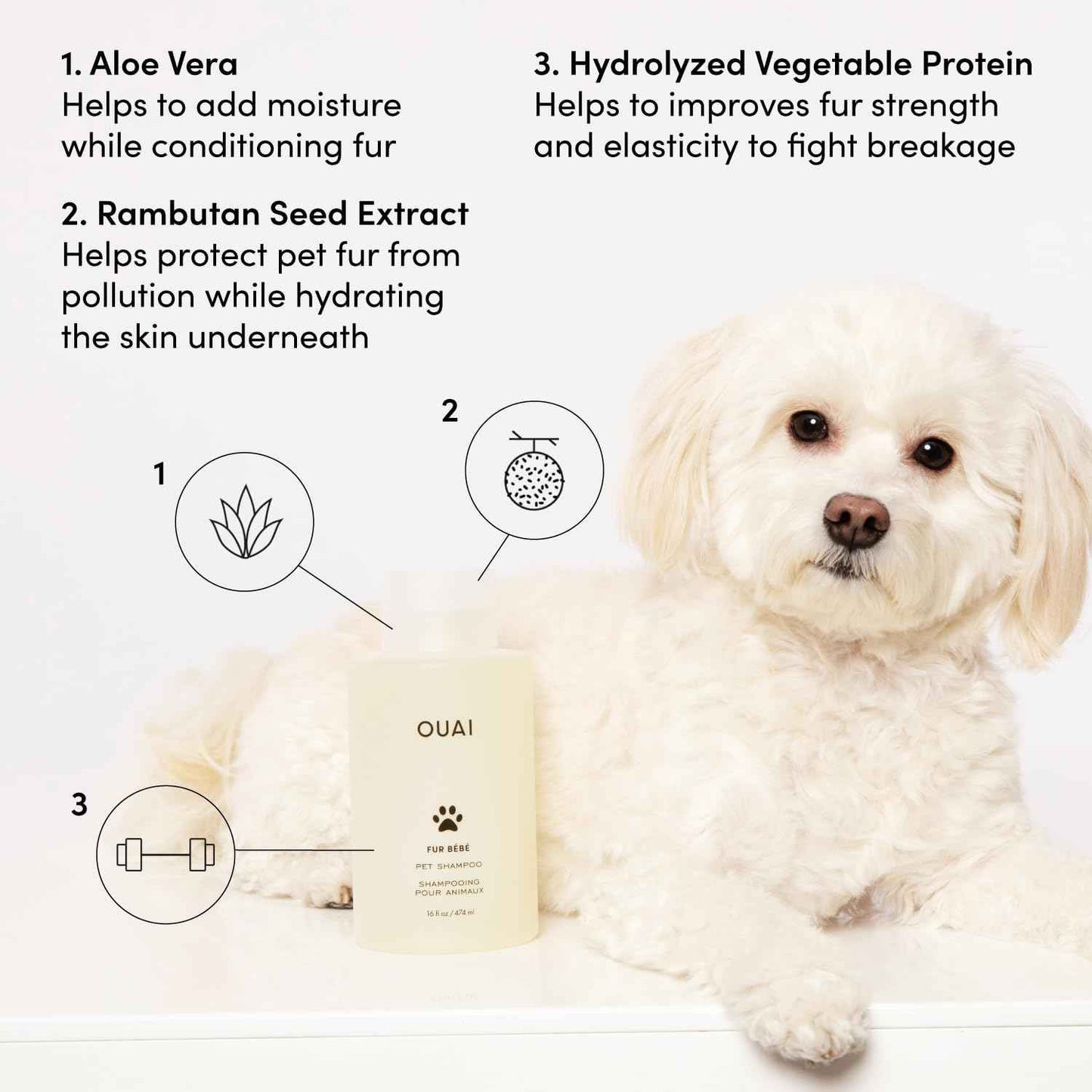 OUAI Fur Bébé Pet Shampoo - Cat & Dog Shampoo for Gentle Cleansing, Hydration & Shine - Vegan & Cruelty-Free Pet Supplies with Aloe Vera & Panthenol - Mercer Street Scent (16 Fl oz)