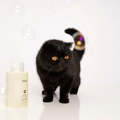 OUAI_Fur_Bebe_Pet_Shampoo_-_Cat_&_Dog_Shampoo_for_Gentle_Cleansing,_Hydration_&_Shine_-_Vegan_&_Cruelty-Free_Pet_Supplies_with_Aloe_Vera_&_Panthenol_-_Mercer_Street_Scent_(16_Fl_oz)