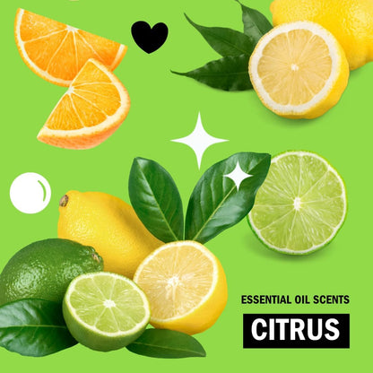 Molly's_Suds_Liquid_Dish_Soap_|_Clean,_Simple_Ingredients_|_Extra_Scrubbing_Power_|_Citrus_Scent,_24_oz_-_2_Pack