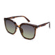 Tortoise/Gradient Green - 58 Millimeters